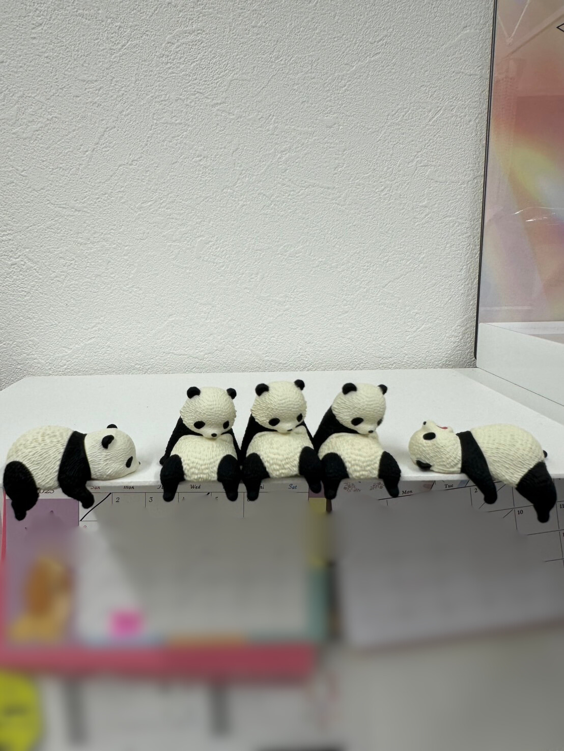 ミニパンダ2