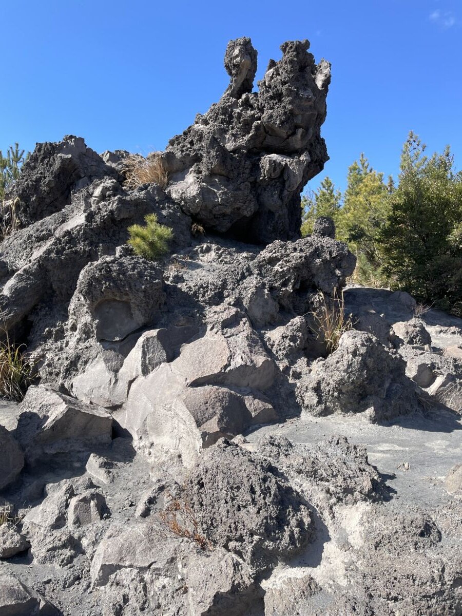 桜島と溶岩